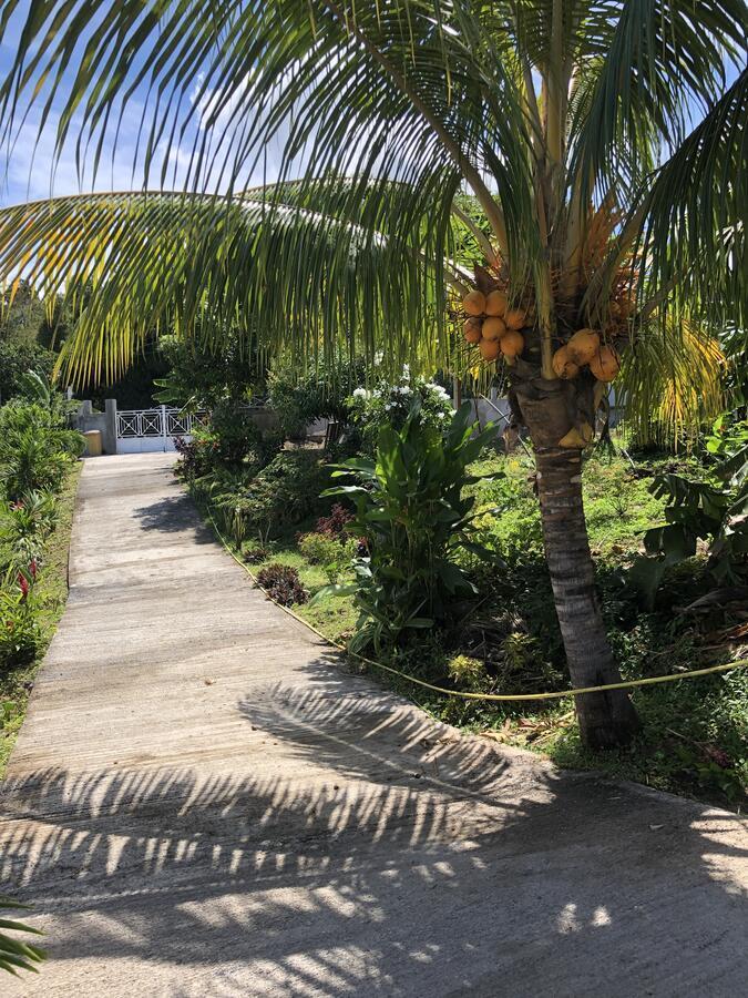 Le Val De Lys-Piscine Privee Villa Vieux-Habitants Kültér fotó